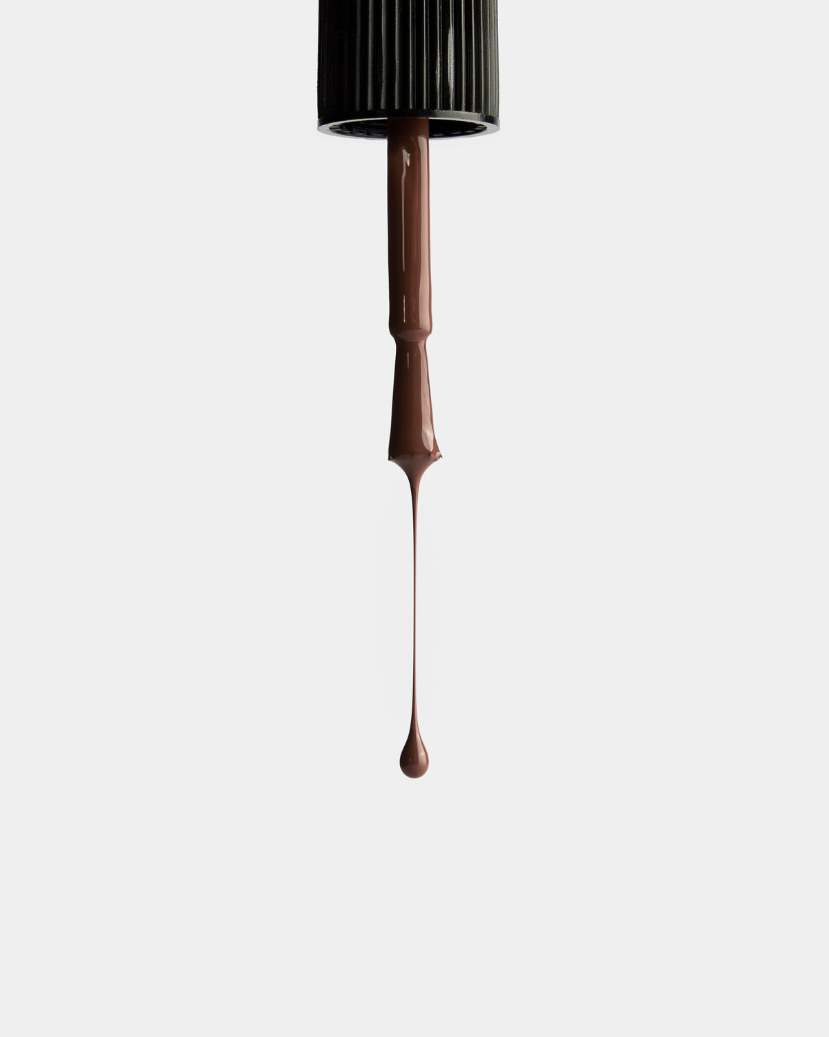Chocolate Cosmos